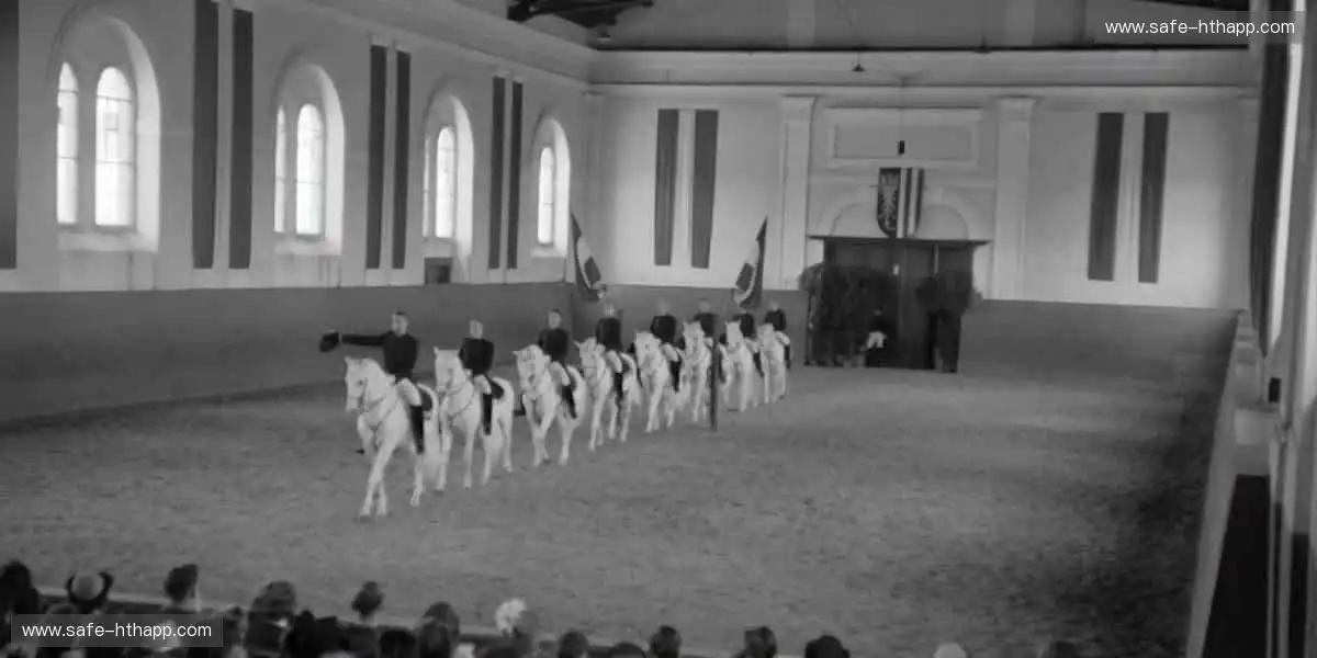 独家限量发售，潮流先锋必备！👕 用装备定义你的运动态度！